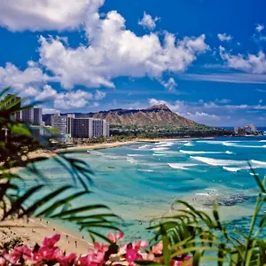 Apartment Ocean View Escape, Steps To & Free Parking!, Honolulu